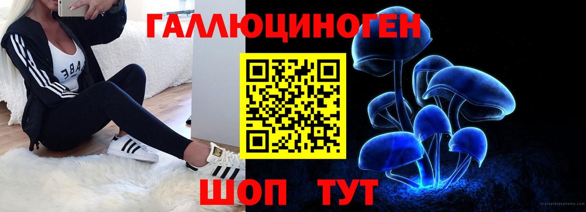 Псилоцибиновые грибы Magic Shrooms  Вход с VPN  дарнет шоп  Новороссийск 